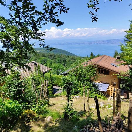 Chalet La Trouvaille Thollon-les-Memises Exterior foto